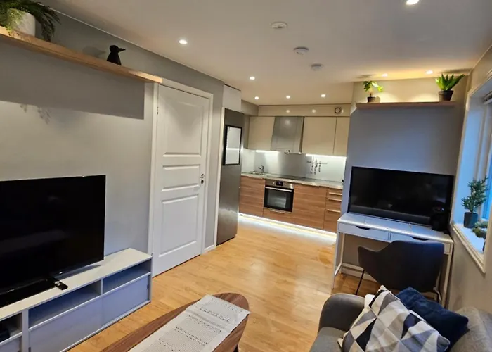 Апартаменты Moderne 10 Min Fra Sentrum